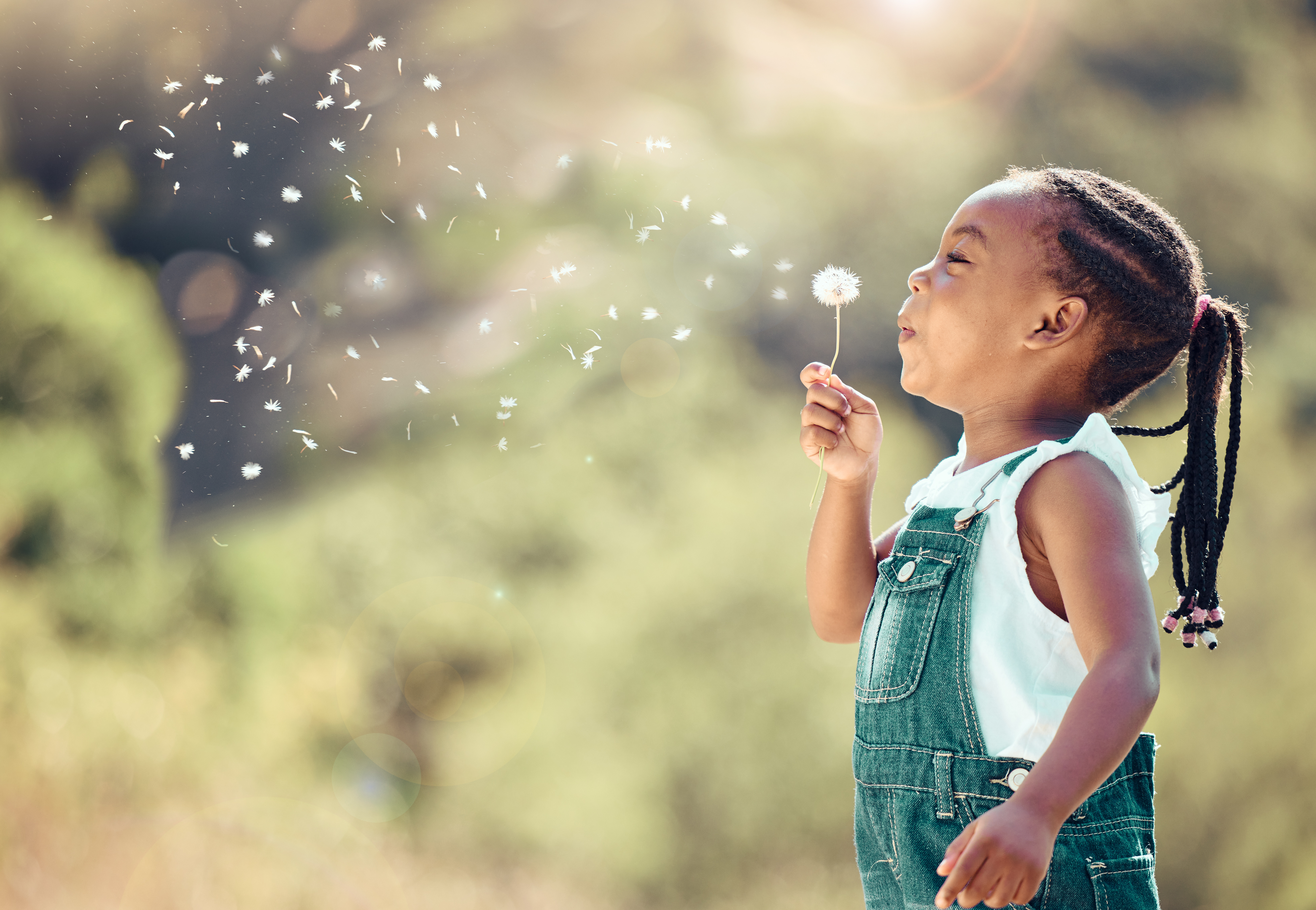 Child blowing a dandelion