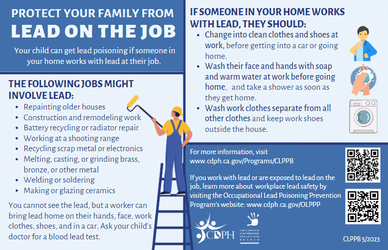Screen shot of Protect Your Family from Lead on the Job card