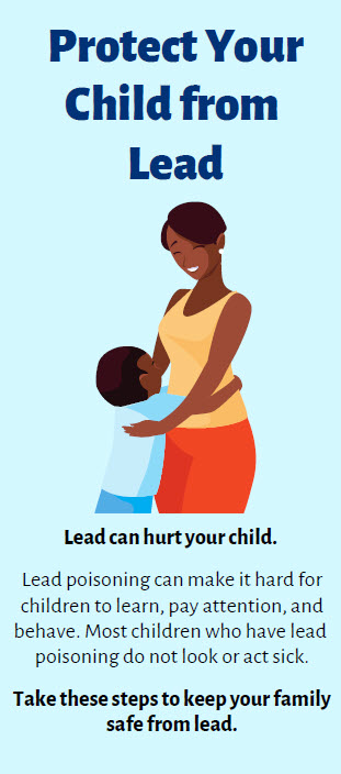 Screen shot of Protect Your Child from Lead brochure