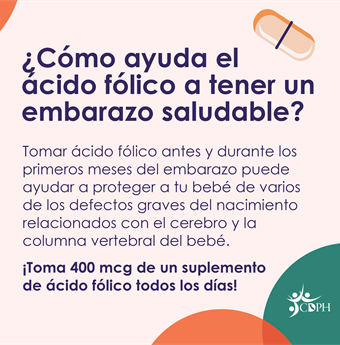 In Spanish: How does folic acid support a healthy pregnancy?