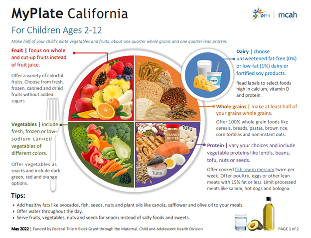MyPlate for Expecting Moms Poster, Pregnancy Nutrition