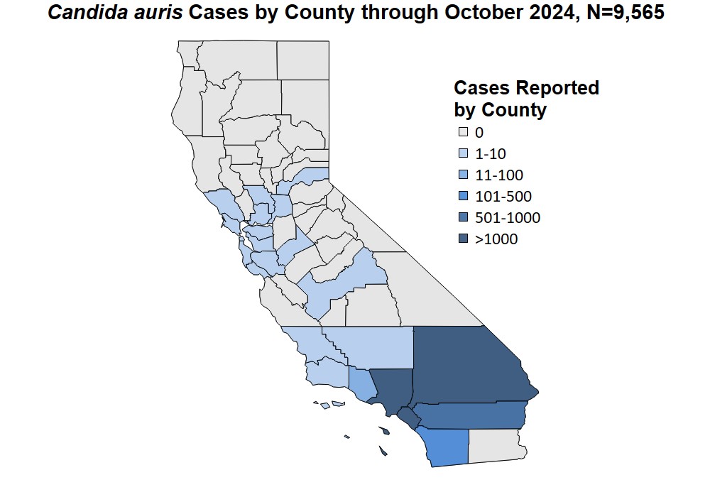 Map of CA showing counties and their concentration of reported cases of Candida auris through October 2024