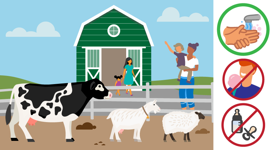 Barnyard scene with adults and children, a cow, goat, and sheep