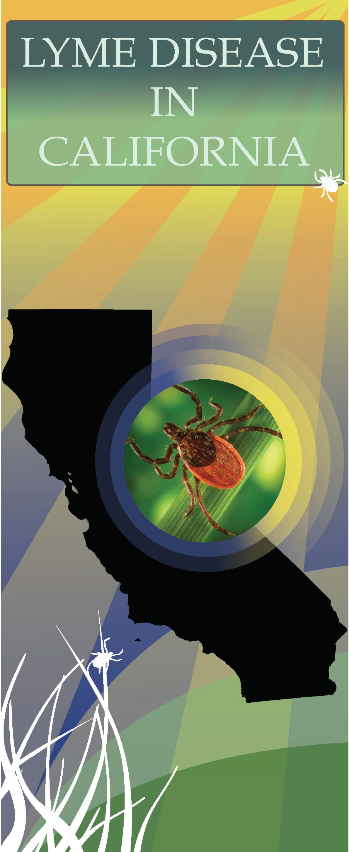 Vector-Borne Disease Educational Materials