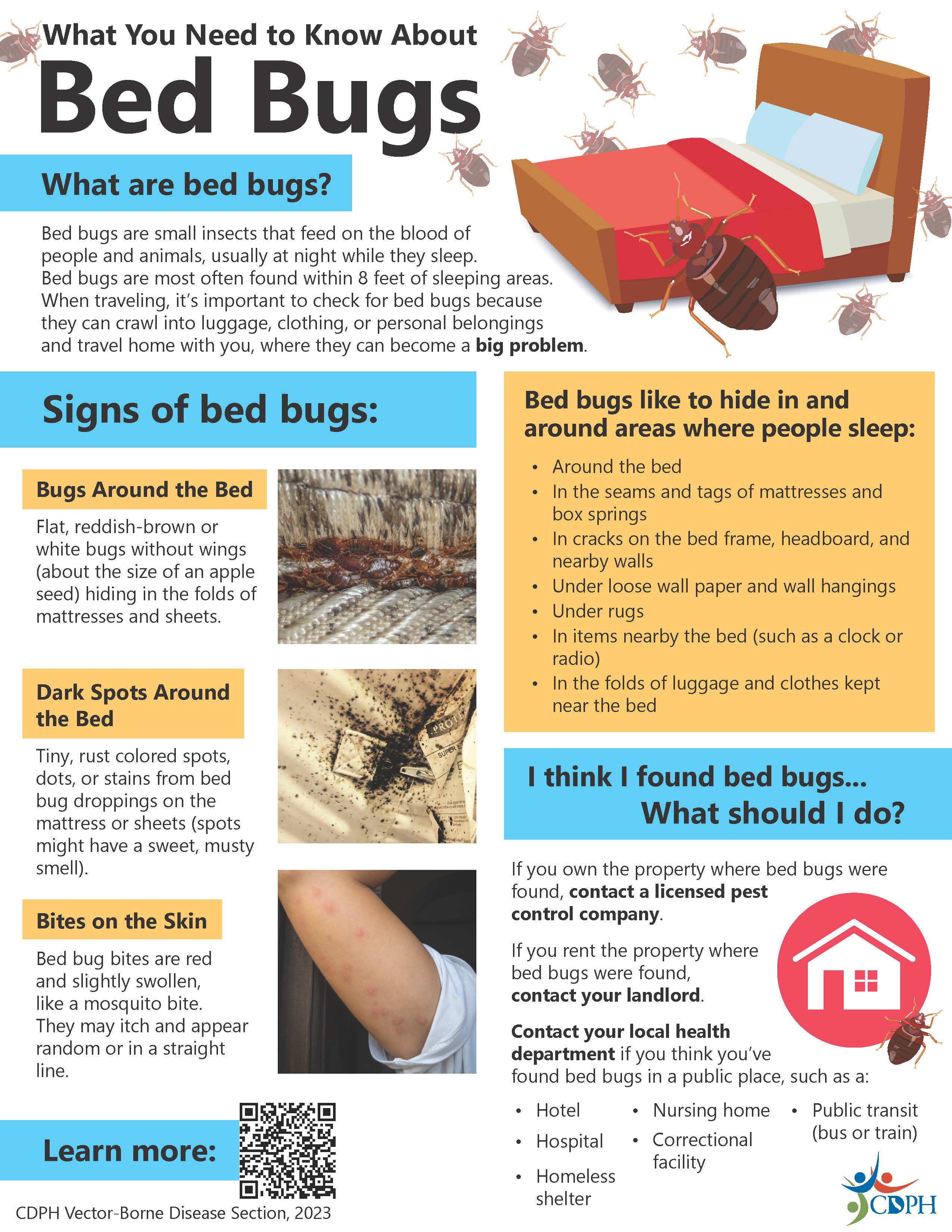 Bed bugs flyer