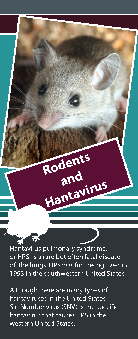 Hantavirus Brochure