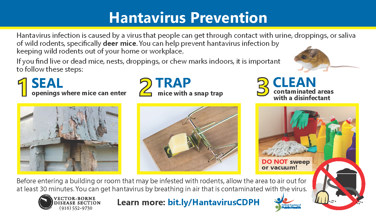 Hantavirus Prevention Card