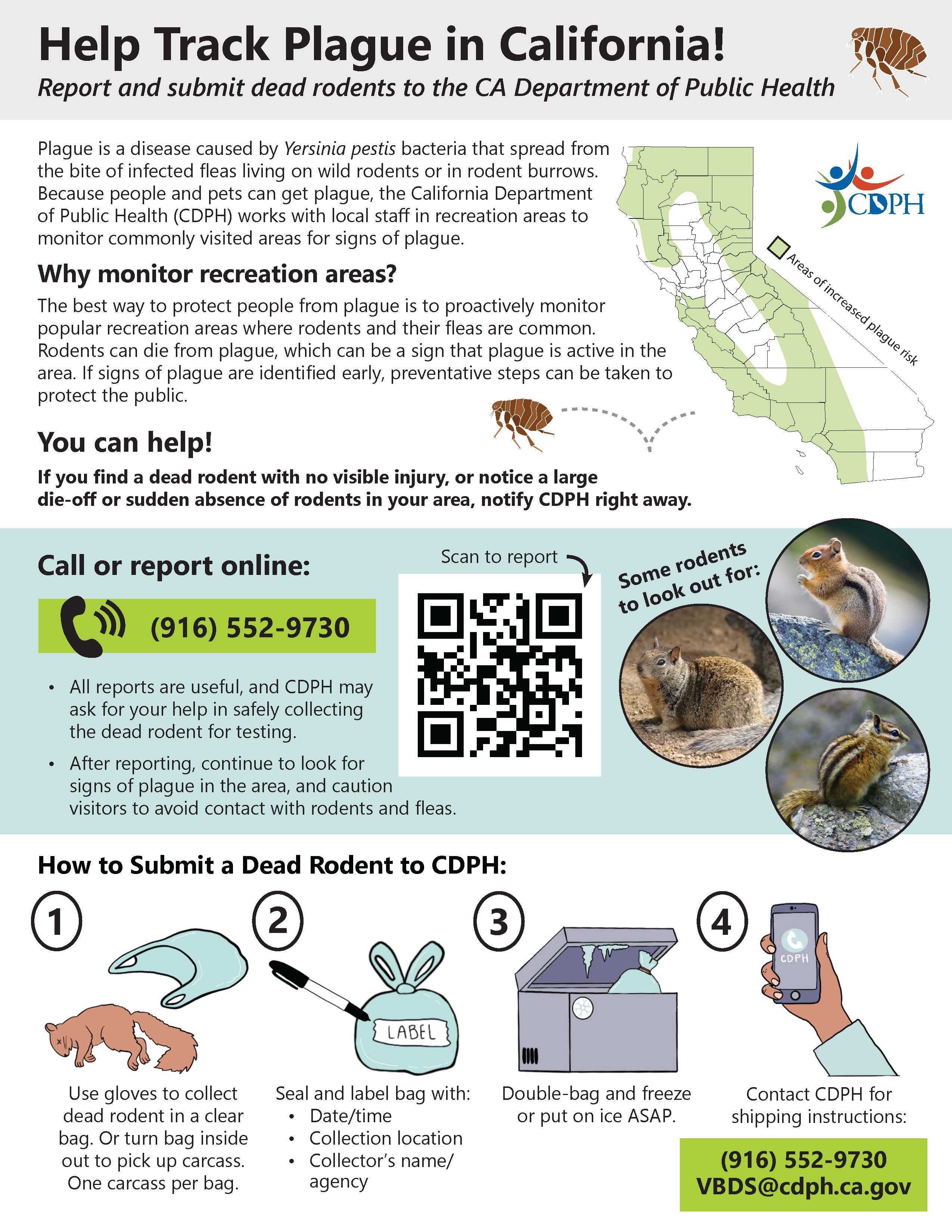 Help Track Plague In California flyer