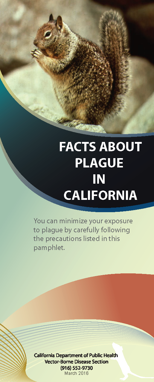 Plague brochure