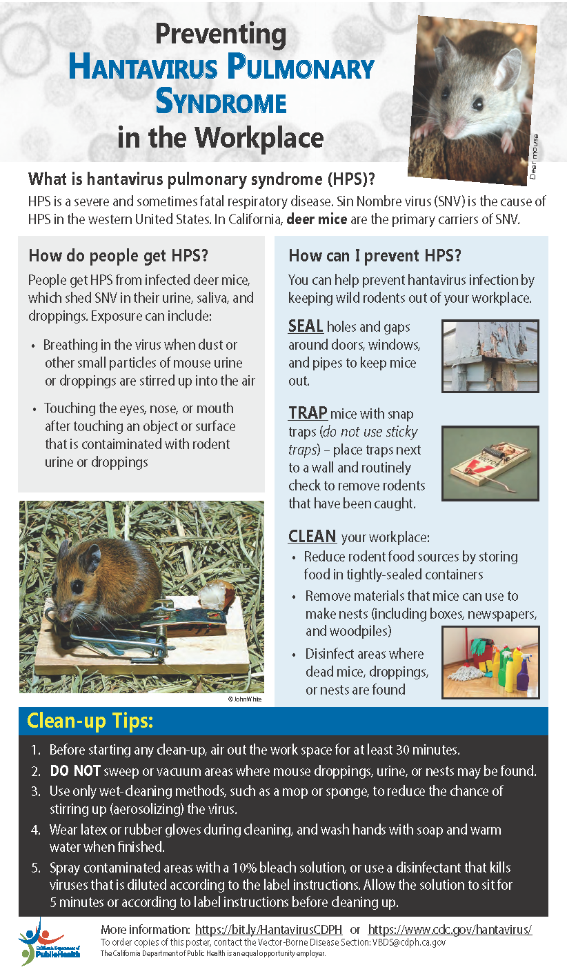 Hantavirus Workplace Poster