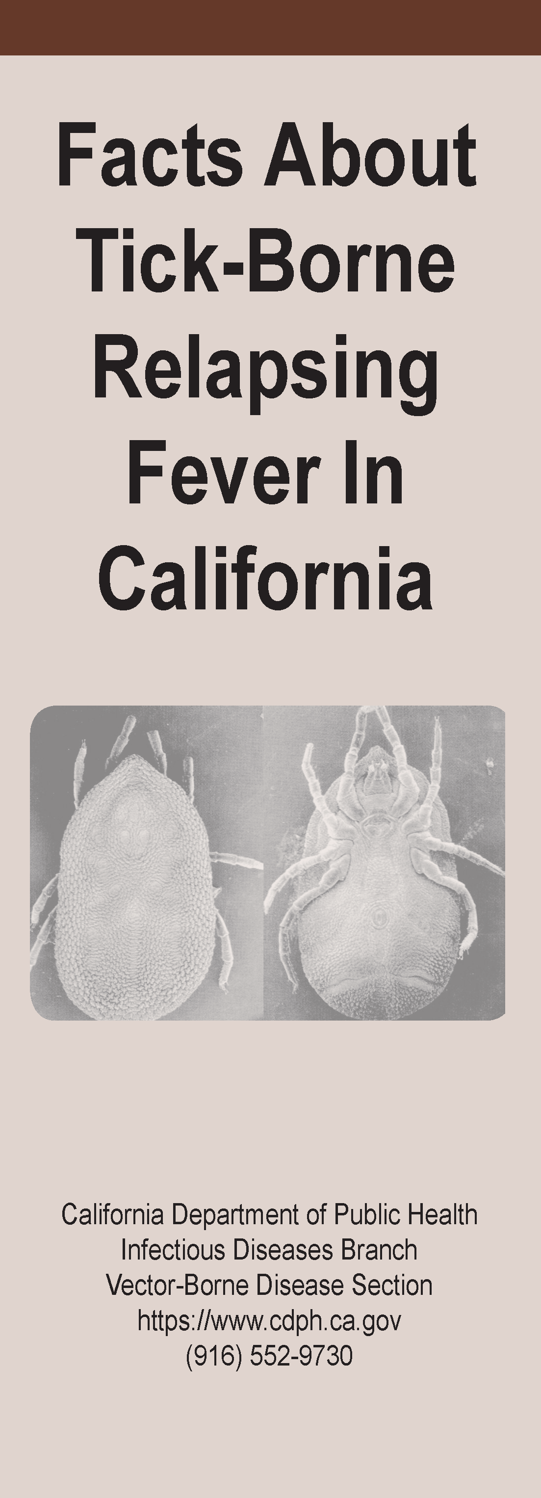 Tick-borne relapsing fever brochure