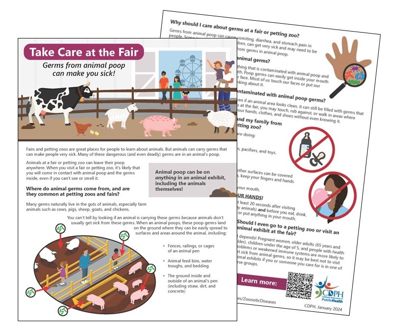 Sample image of the "Take Care at the Fair" handout