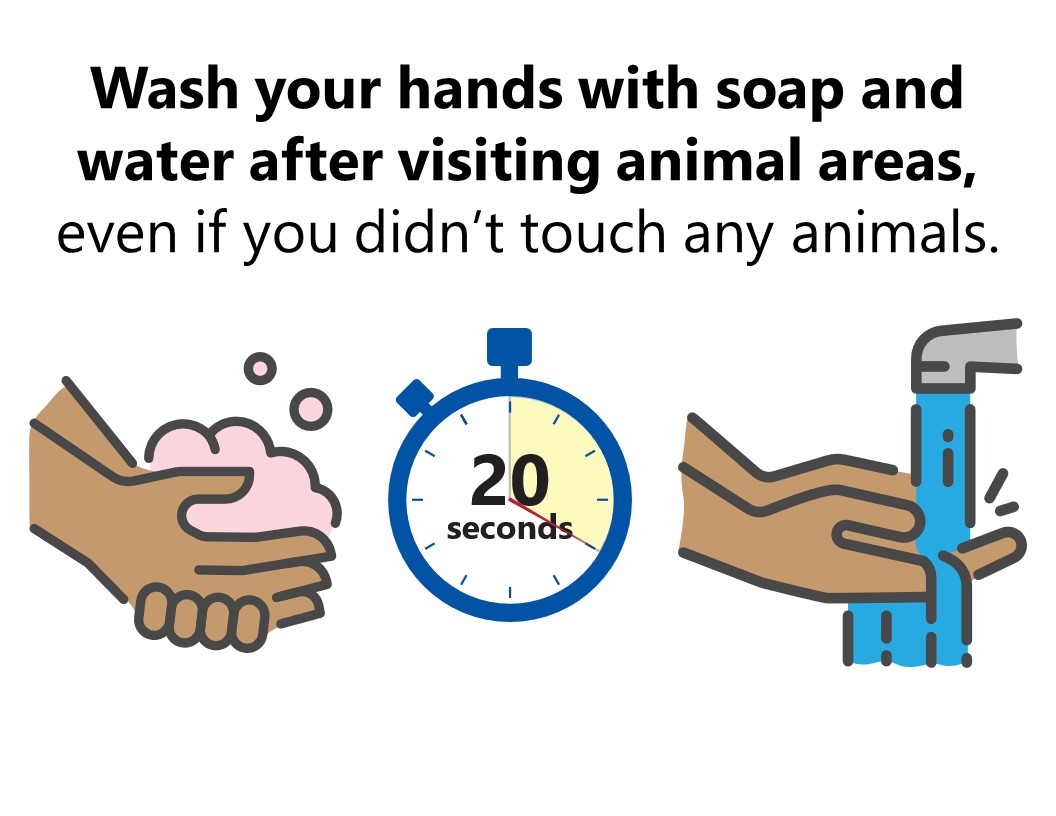Sample handwashing sign for animal exhibit exit