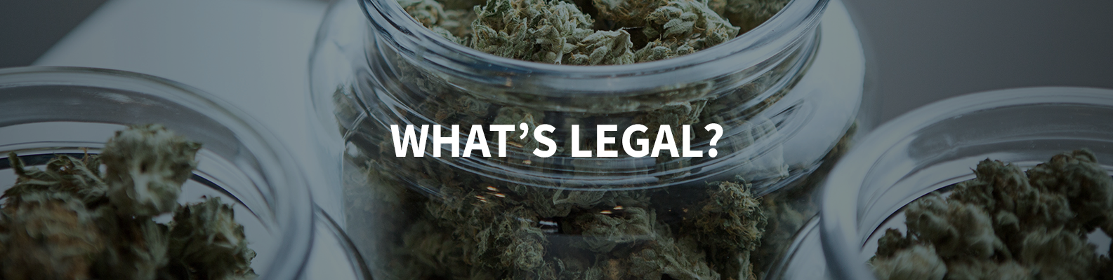 How Can You Buy Cannabis Legally?