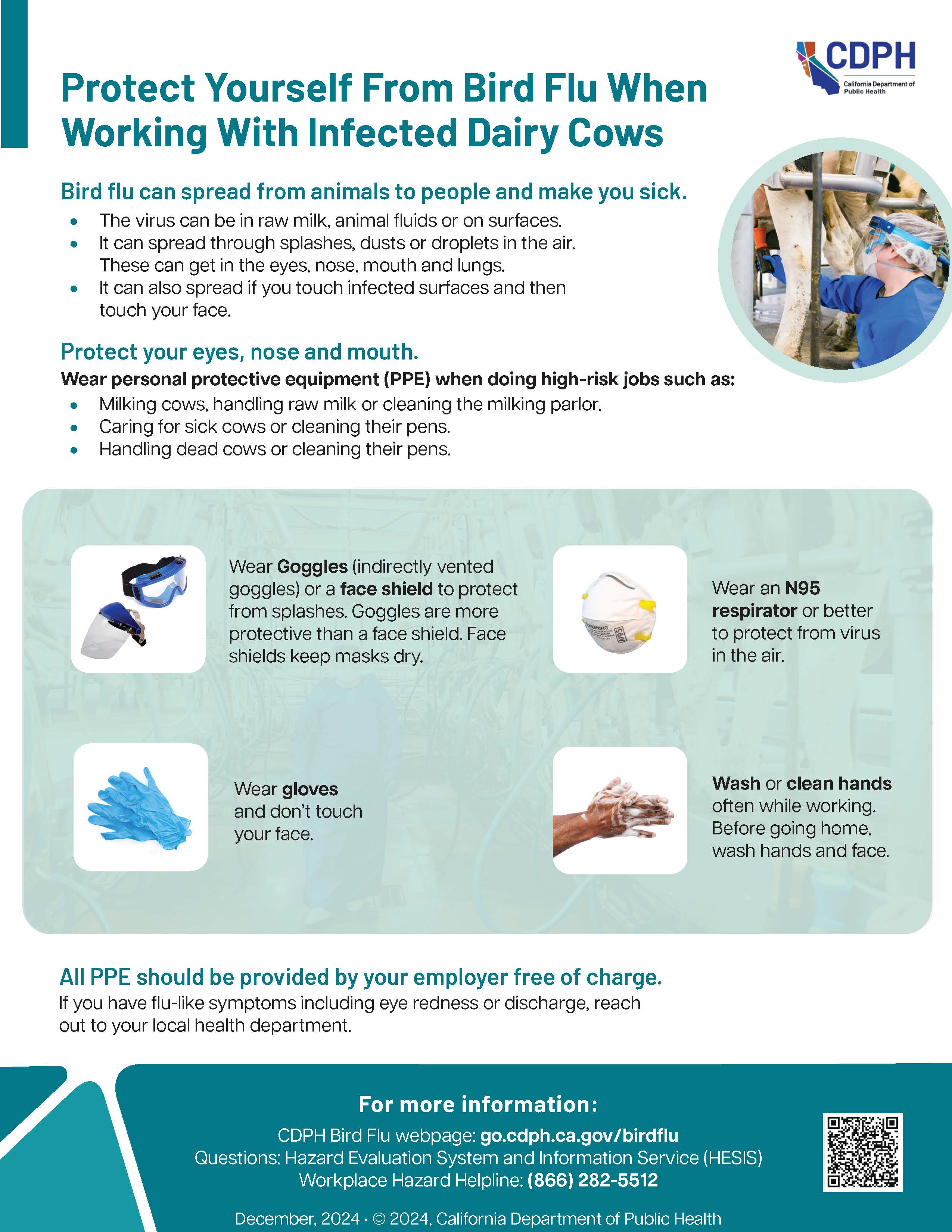 Protect Yourself From Bird Flu When Working With Infected Dairy Cows fact sheet