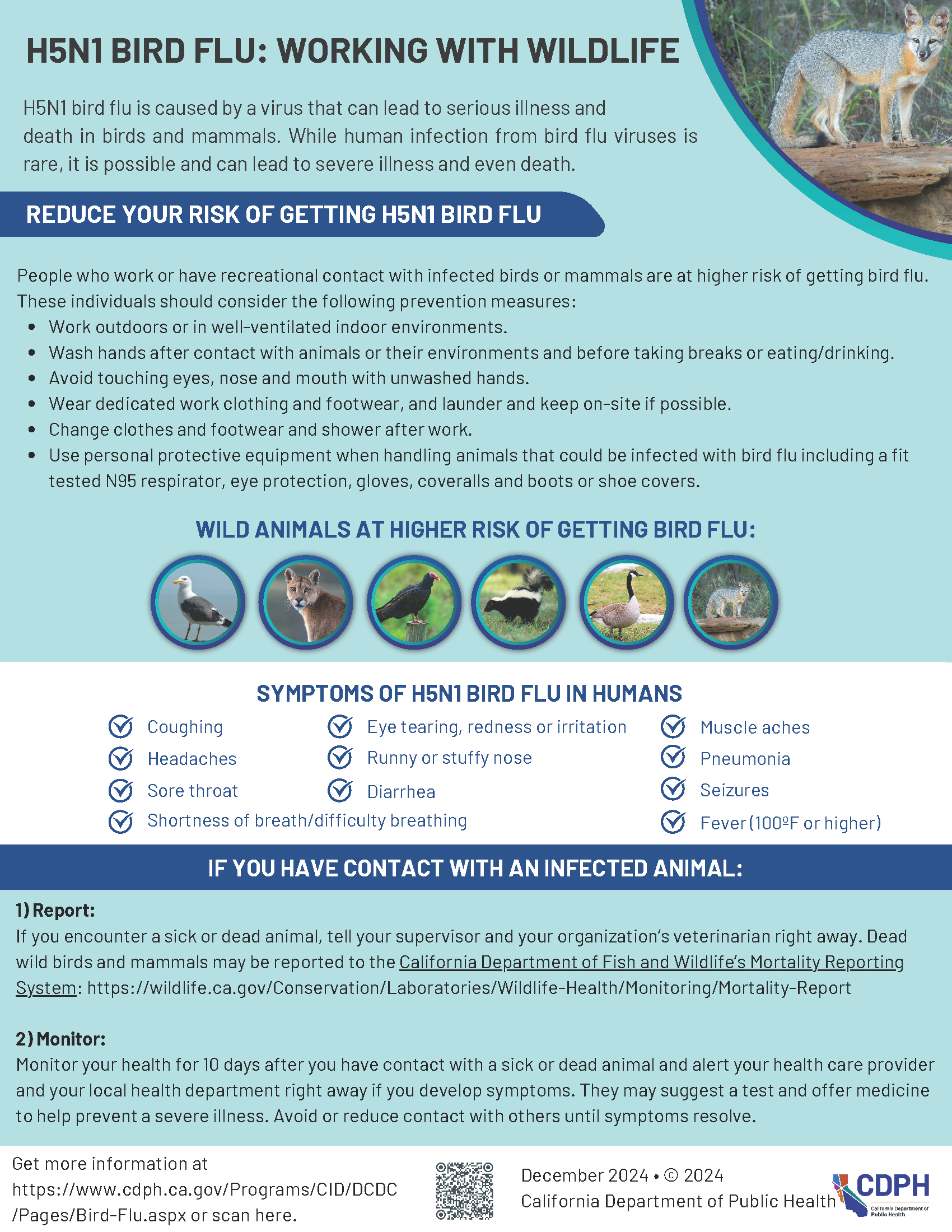 Bird Flu: Working with Wildlife fact sheet