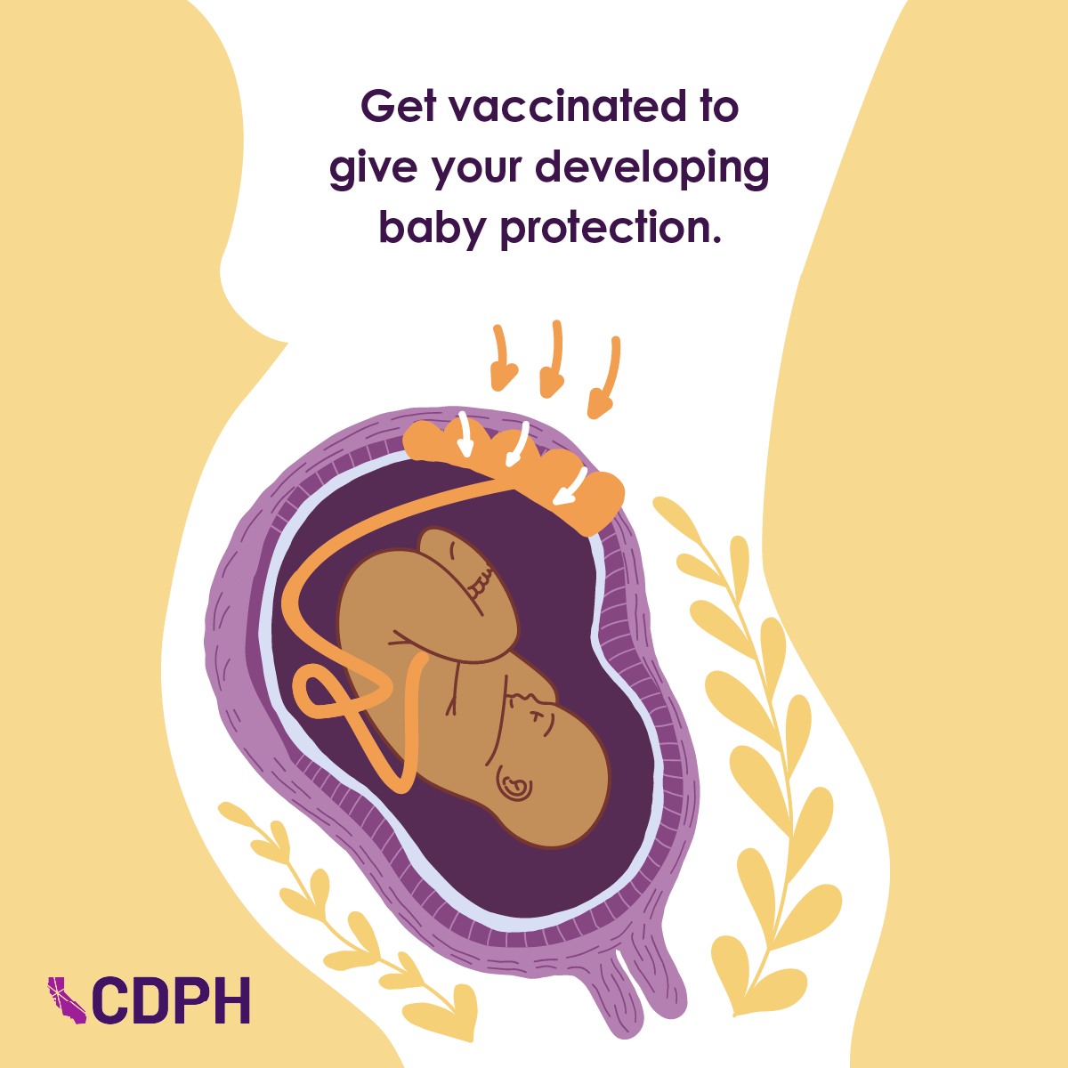 Get vaccinated to give your developing baby proection.